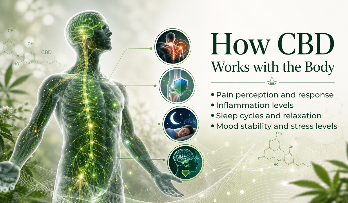 Illustration showing how CBD supports pain, sleep, mood, and inflammation